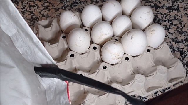 Incubación de huevos de gansos смотреть онлайн