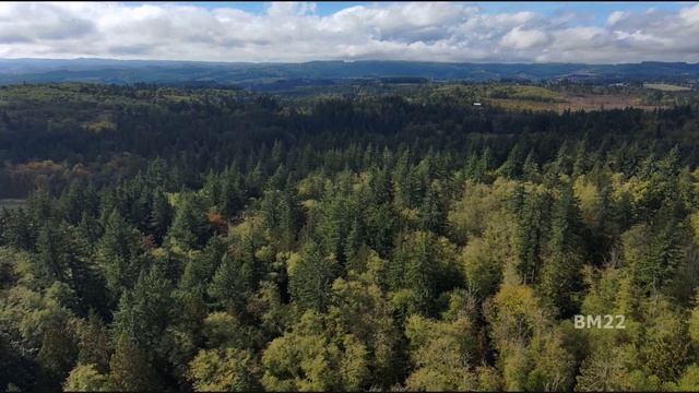 Flying the Skydio2 Autonomous Drone on a Windy Day смотреть онлайн