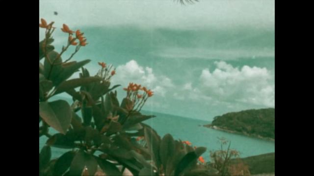 Relaxing Scenery in Vintage Video : Seascape, Plumeria & Coconut Trees | Calm Sea Views | Sea Sound смотреть онлайн