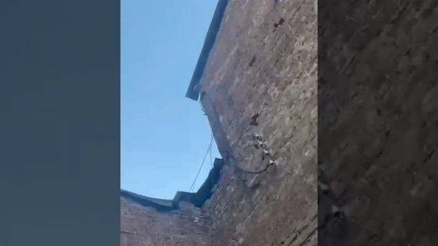  смотреть онлайн