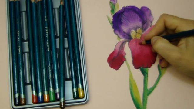 How To #draw #flower #IRIS Как #нарисовать #цветок #ИРИС #Come #disegnare #fiore #pittura #dipinger