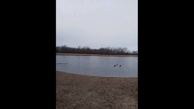 J. La Barbera - Vernum (Song)