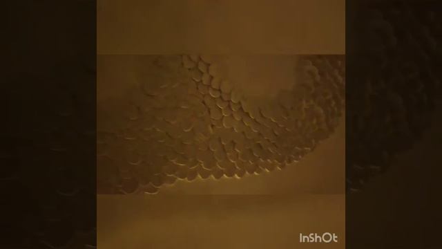 Дерево на стене смотреть онлайн