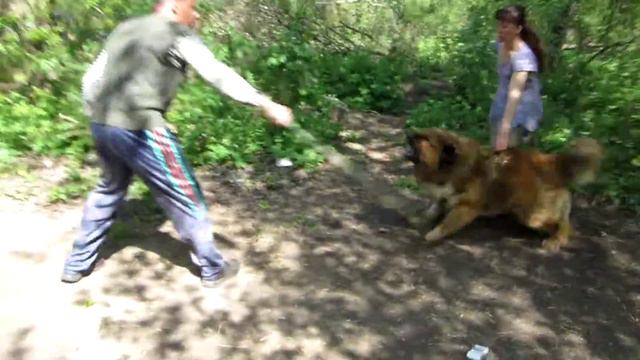 Зидана злят