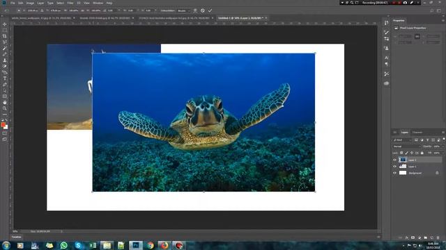 Adobe PhotoShop 19.1 Tutorial move tools Hd In Hindi смотреть онлайн