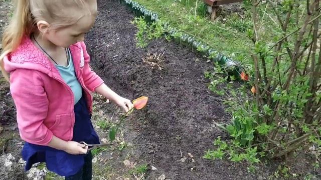 9 мая 2020 г. С праздником 9 мая!!! С Днём Победы!!! Кристина на даче, поздравляет всех с празднико смотреть онлайн