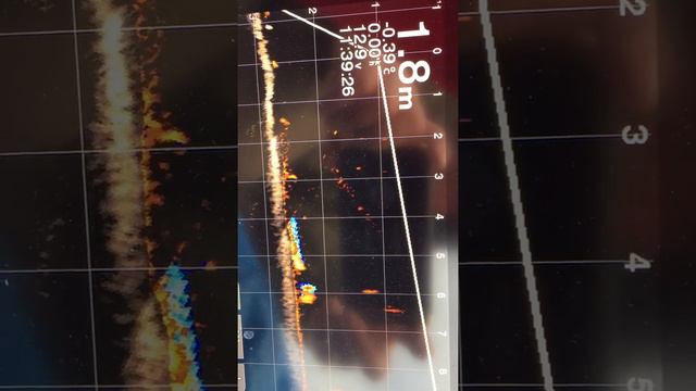 Garmin Panoptix Livescope LVS32