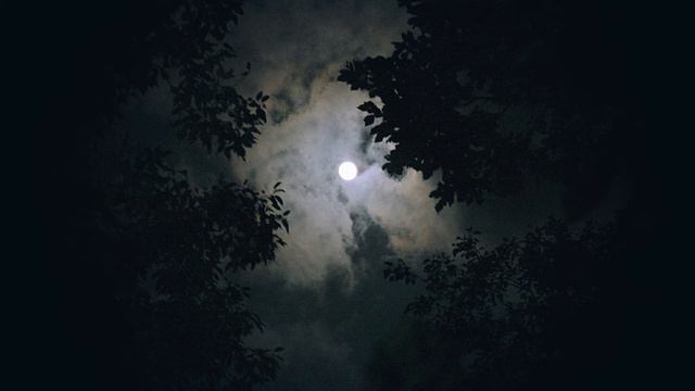 Relaxing Sleep Music and Night Nature Sounds - Soft Crickets, Beautiful Piano, Deep Sleep Music смотреть онлайн