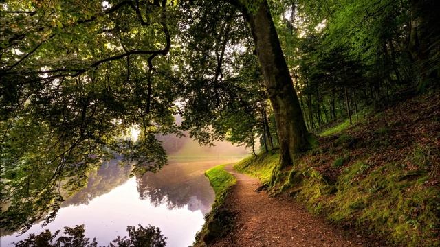 ВОССТАНОВЛЕНИЕ НЕРВНОЙ СИСТЕМЫ. Звуки природы, треск костра, успокаивают нервную систему. смотреть онлайн