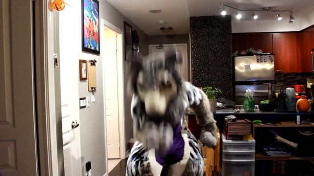 Marshmallow Vores A Micro - Fursuit Vore смотреть онлайн