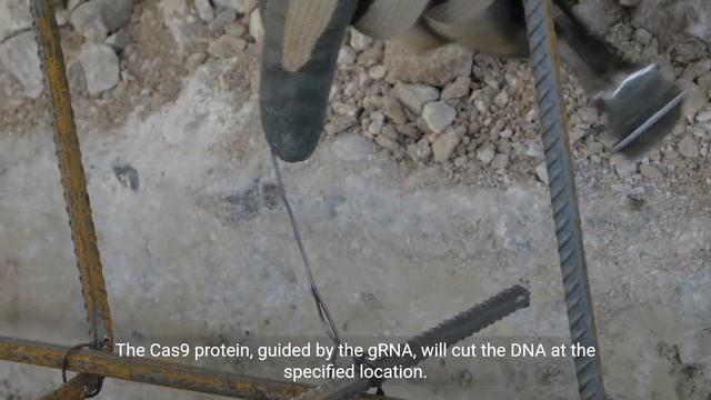 Theoretical Exploration of DNA Editing Manipulation смотреть онлайн