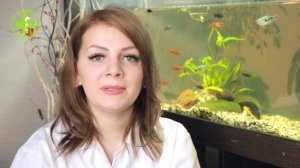 Имена для хомяков ?// Как выбрать имя хомяку девочке и мальчику // Био-Вет