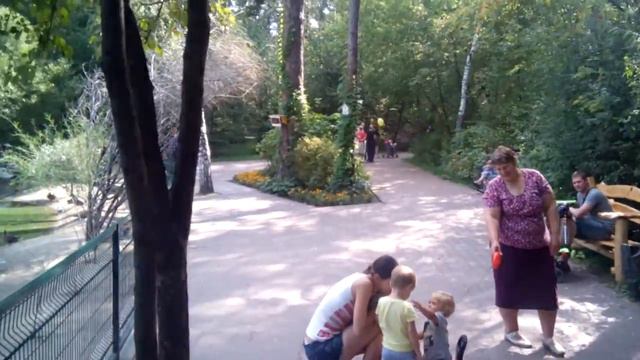немного по зоопарку... 2017 08 25 15 35 36 смотреть онлайн