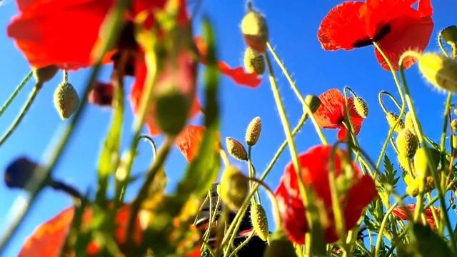 #МОЙ2022 смотреть онлайн