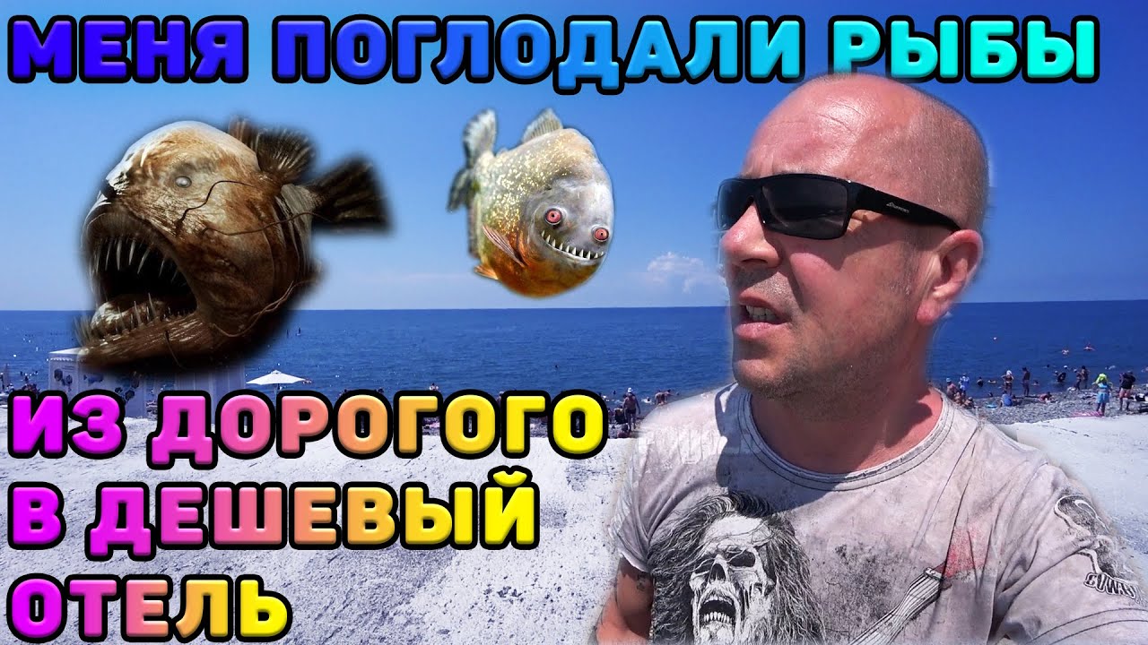 Меня жрут рыбы. Сочи. Адлер 2020, открытие смотреть онлайн