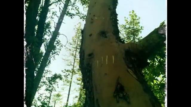 Vibram FiveFinger Review Footage смотреть онлайн