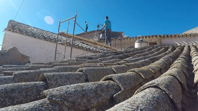 23. Part 2 Of The Roof Repairs, Good And Bad News About The Beams & Visit An Animal Sanctuary.