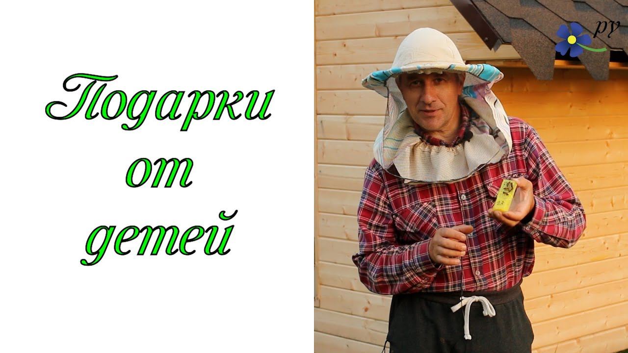 Муха на днюху или подарки детей пчеловоду. смотреть онлайн