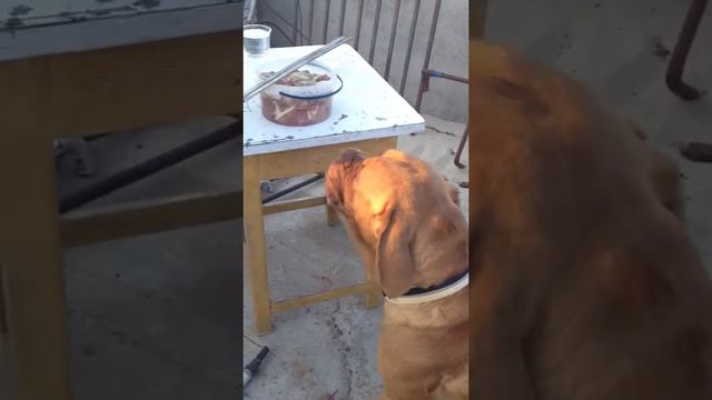 Шашлык смотреть онлайн