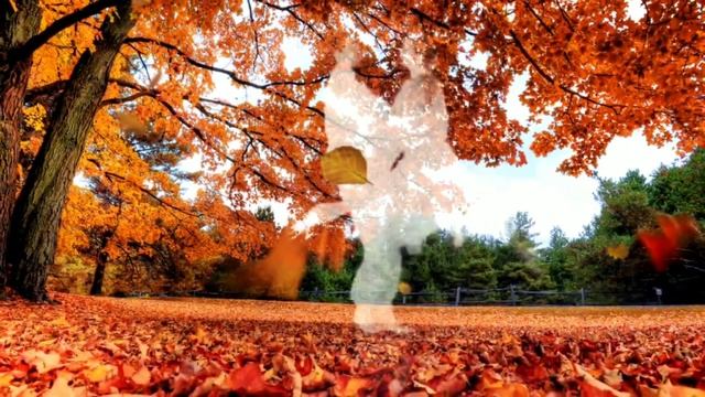 Осенний ВАЛЬС...?(музыкальная фантазия) смотреть онлайн