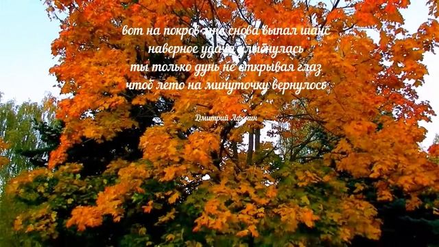 Желанье загадай, Осень. Дмитрий Афонин и Любомир Мельник смотреть онлайн