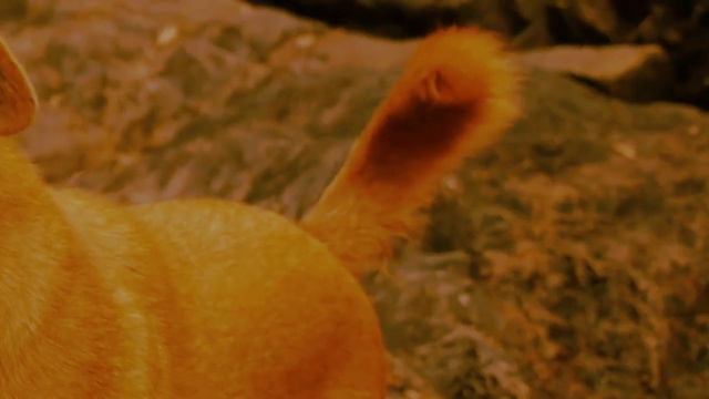 Sound of TZOLKIN смотреть онлайн