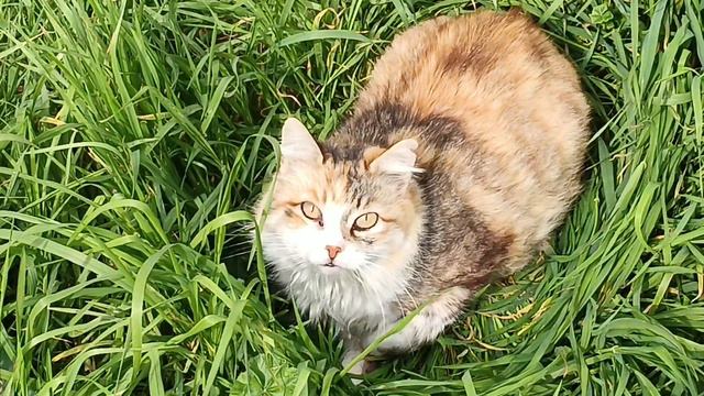 🌟#парфнеделя✨ Gucci Rush 2, Ноктюрны Новая Заря, приятный люкс и ниша на весну😘Я - коллекционер?