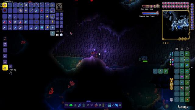 Codex's Full Stream: Modded Terraria (Part 12) смотреть онлайн