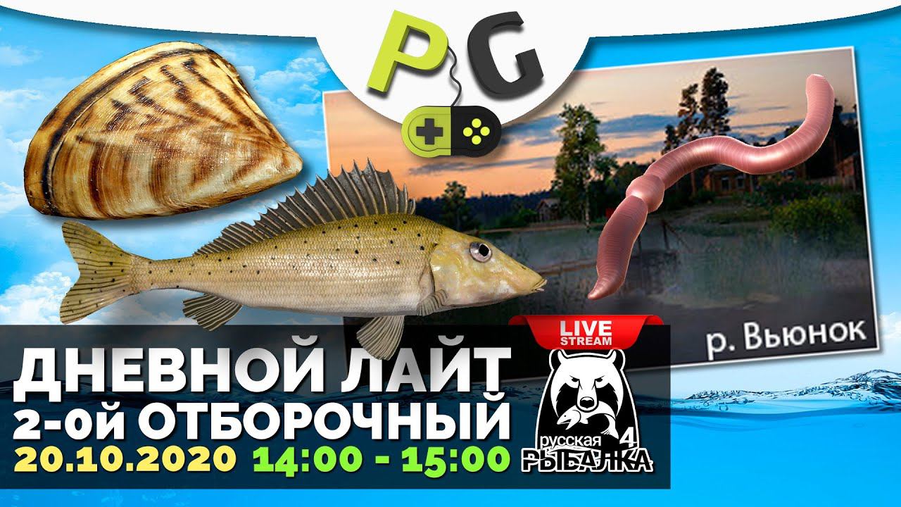 Русская Рыбалка 4 - Стрим Дневной лайт 2-ой отборочный. Вьюнок - Червь - Виды смотреть онлайн