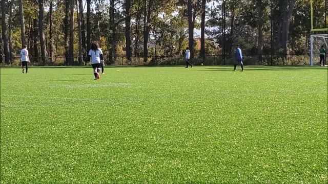 Hinesville Gators 07 vs SSA Chelsea Coastal 07B (Adidas Savannah Cup Final Match) смотреть онлайн