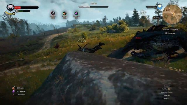 The Witcher 3: Wild Hunt - THE SHRIEKER | LET'S PLAY #39 смотреть онлайн