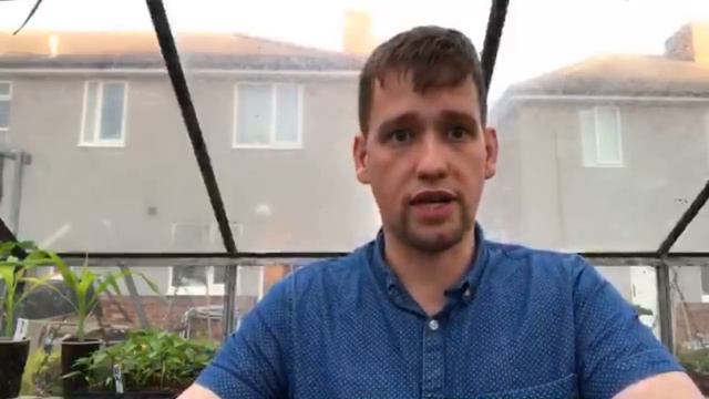 Pot dahlias смотреть онлайн