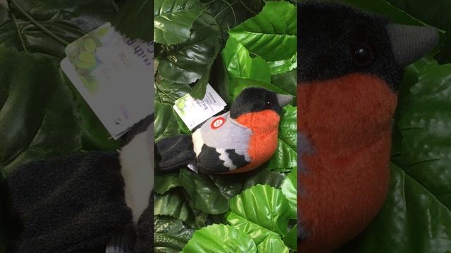 Птицы озвученные Снегирь WILD REPUBLIC смотреть онлайн