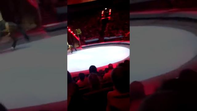 Большой московский цирк классный момент №6 смотреть онлайн