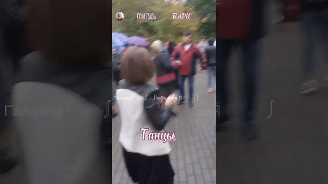 15.10.2023г. Игорь Киберев - Нежная Милая... Звучит на танцплощадке в Гомельском парке смотреть онлайн