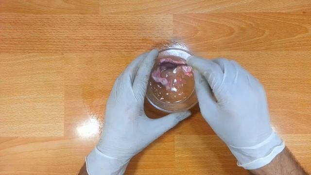 كيف بيضت أسناني في المنزل في 3 أيام و ازلت الجير و بلاك الأسنان دون الذهاب إلى طبيب الأسنان تبييض ا смотреть онлайн