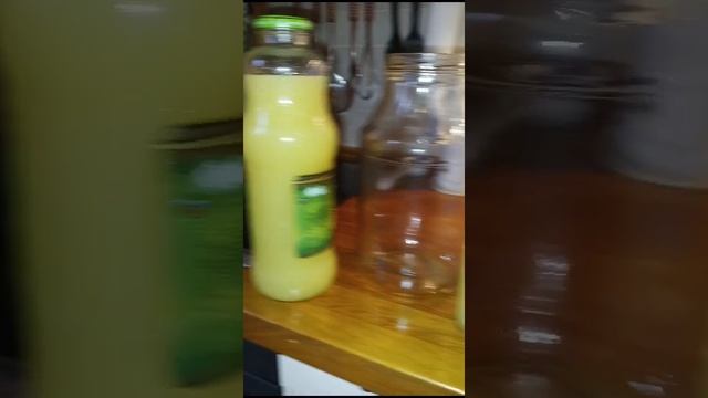 кот Жорик 🐱🐱🐱