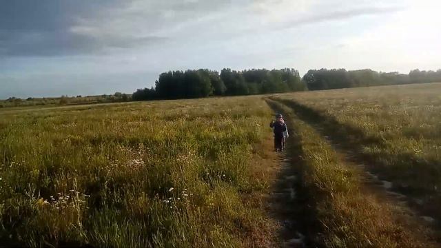 Влог?/Гуляем по ромашковому полю?Гурьевск,Калининградская область? смотреть онлайн