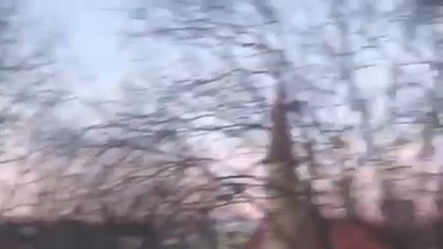 Гатчинский парк глазами школьницы смотреть онлайн