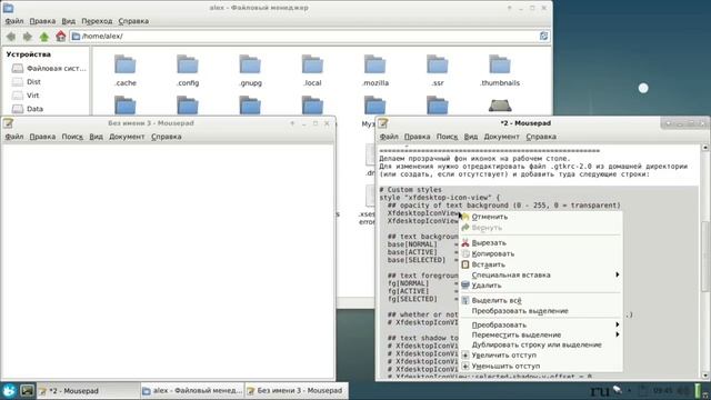 Debian.ч4. Автологин, обновление аплетов и первичная настройка внешнего вида смотреть онлайн