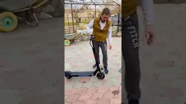 Электросамокат Red Wing 350W