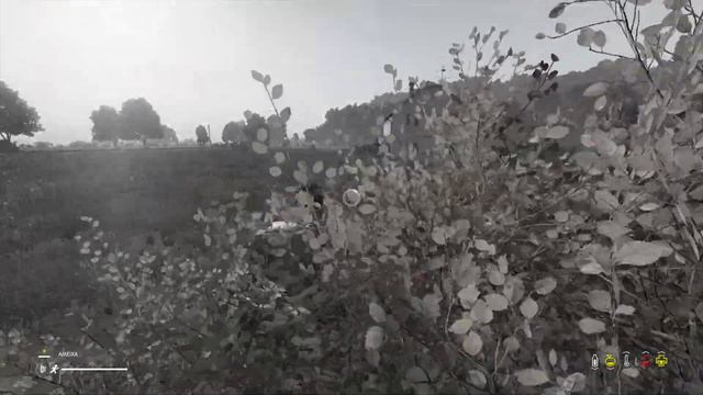 JOGANDO NO SERVIDOR PVE - DAYZ смотреть онлайн