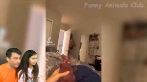 СМЕШНЫЕ КОТЫ и СОБАКИ ИДУТ В ДЕСТКИЙ САДИК БАНБАНА 🙀 ЗАСМЕЙСЯ ЧЕЛЛЕНДЖ Funny Cats TikTok Валеришка