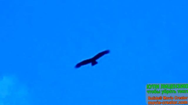 Поклонение,ц."Виноградник"",г.Красноярск смотреть онлайн