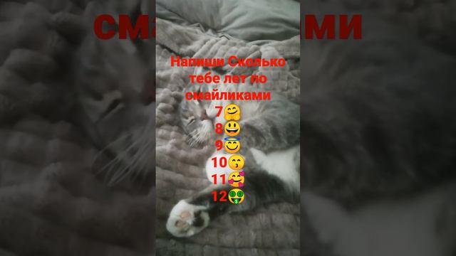 4 мая 2022 г. смотреть онлайн