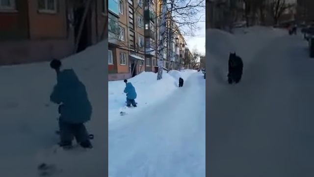 Алекс Руссо Знатный Боярин, сын Роман-Кош Паваны и Старлайз Хоуп Сэр Патрик Спенс. Любимец детей :)