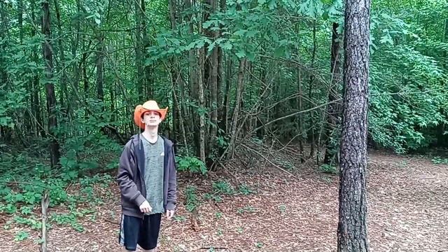 Hat Game Disc Golf Shaver Gold Front 9 смотреть онлайн