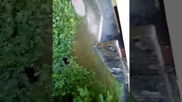 СПБ- работа ОООЖКС2 Кировского района смотреть онлайн