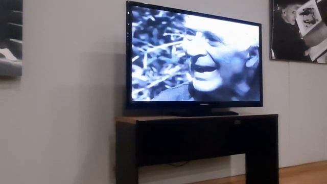 Моя майская поездка в Витебск.Губернаторский дворец.Памятник героям 1812 года.Арт-центр Марка Шагал смотреть онлайн