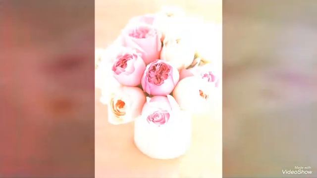 САМЫЕ КРАСИВЫЕ ЦВЕТЫ В МИРЕ смотреть онлайн